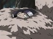 Naruto 073(35).jpg